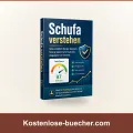 Schufa verstehen
