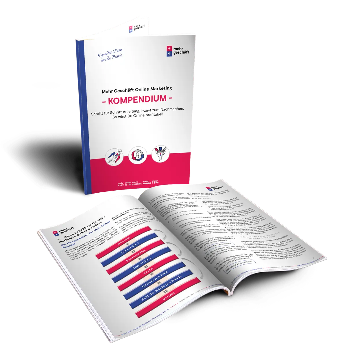 Gratis Buch – Das „Mehr Geschäft Online Marketing Kompendium“