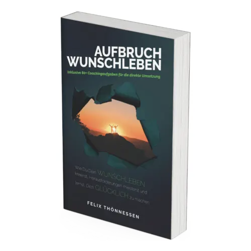 Aufbruch Wunschleben | Das Buch von Felix Thönnessen